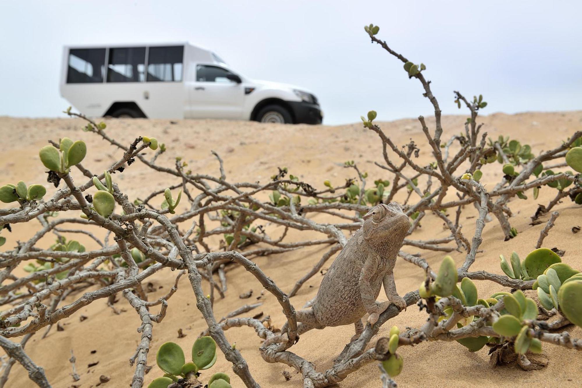 Swakopmund Hotel & Entertainment Centre Ngoại thất bức ảnh